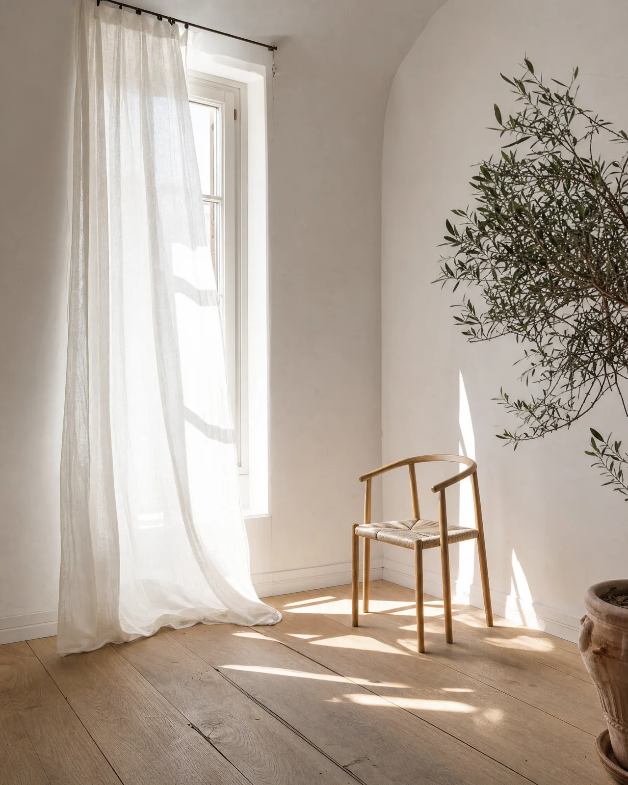 A linen curtain, an oak chair and an olive tree beside the tall south-west window